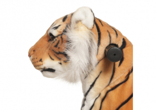 Animal Riding Tiger Shirkan small