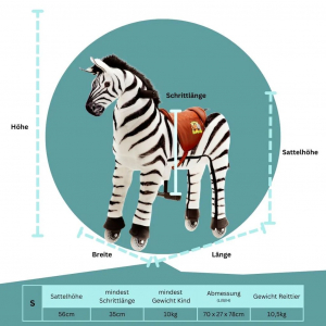 Animal Riding Zebra Marthi klein