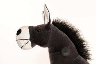 Animal Riding ESEL Dundy klein