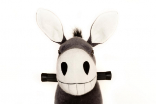 Animal Riding ESEL Dundy medium