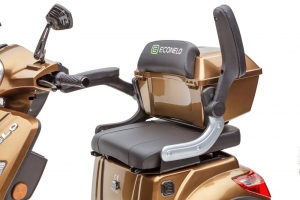 Elektromobil ECONELO J1000, 1000 Watt, 25 km/h Braun