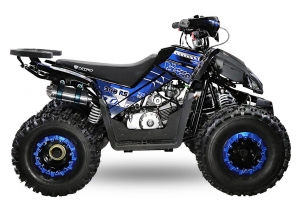NITRO MOTORS 125cc midi Kinder Quad Rizzo RS8-3G Platin