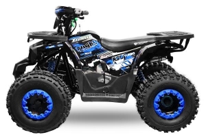 NITRO MOTORS 125cc midi Kinder Quad Rugby RS8-A Platin