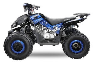 NITRO MOTORS 125cc midi Kinder Quad Rizzo RS8-A Platin