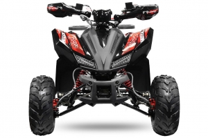 NITRO MOTORS 125cc midi Kinder Quad Rizzo RS7-A Platin