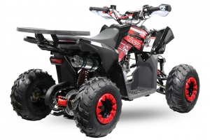 NITRO MOTORS 125cc midi Kinder Quad Rizzo RS7-A Platin