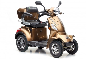 ECONELO JL4000, Vierradroller, 25 km/h, 1000 Watt Lithium Akku