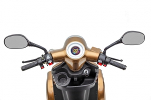 ECONELO JL4000, Vierradroller, 25 km/h, 1000 Watt Lithium Akku