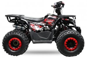 NITRO MOTORS 150cc midi Kinder Quad Rocco RS8-A Platin