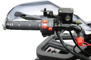 Nitro Motors Rugby RS8-3G midi Quad 125cc 8 Zoll Semi- Automatik + Rckwrtsgang