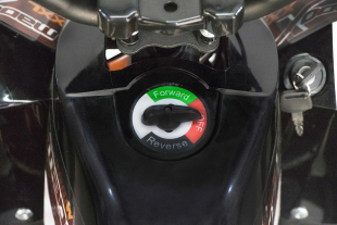 NITRO MOTORS 1300W XXL Eco midi Kinder Quad Madox Performance DLX 6