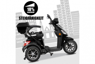 Rolektro E-Trike 25 V.2 Blei-Gel, Schwarz, 25 km/h