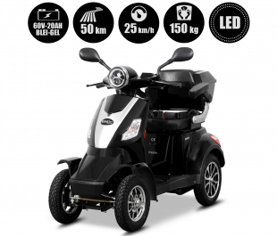 Rolektro E-Quad 25 V.2, Schwarz, Bleigel, 1000 Watt