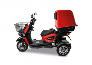 Rolektro E-Carrier 25 V.3 Lithium, Rot, mit XXL-Koffer, 25 km/h, 1000 Watt