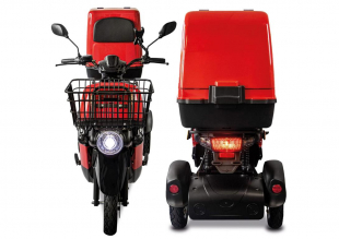 Rolektro E-Carrier 25 V.3 Lithium, Rot, mit XXL-Koffer, 25 km/h, 1000 Watt