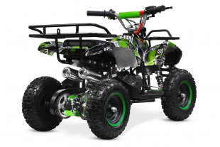 Kinderquad 49cc Torino 6
