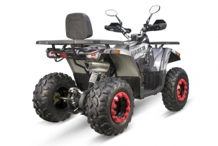 NITRO MOTORS 200cc maxi Kinder Quad Quablo CVT RS Platin