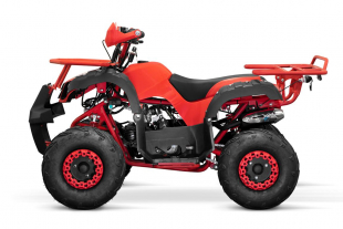 Nitro Motors Kinderquad Toronto RG7 Midi Quad 125cc 7 Zoll Automatik