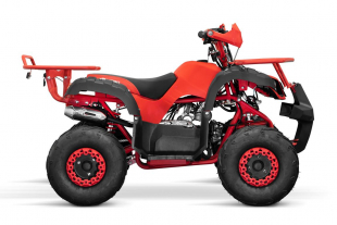 Nitro Motors Kinderquad Toronto RG7 Midi Quad 125cc 7 Zoll Automatik