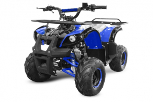 Nitro Motors Kinderquad Toronto RG7 Midi Quad 125cc 7 Zoll Automatik