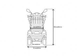 VELECO ZT15 Seniorenmobil 3-Rad 900W, 12 Km/h Rot