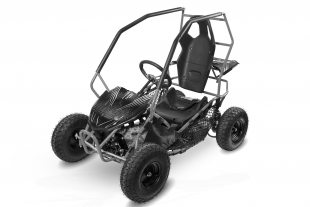 NITRO MOTORS 1000W Eco midi Kinder Buggy Racer PRM 6
