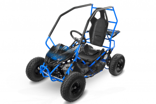 NITRO MOTORS 1000W Eco midi Kinder Buggy Racer PRM 6
