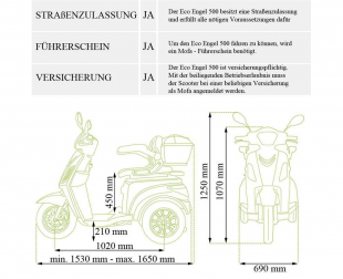 ECO ENGEL 500 Silber, 1000 Watt, 25 km/h, Elektromobil, 3 Rad Scooter