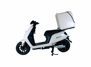 Elektroroller BERLIN DELIVERY 6.0,  6000W (100km/h)