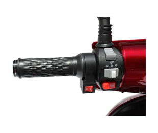 ECO ENGEL 510 V.2 Rot, 25 km/h, 20 Ah Li-Io Akku