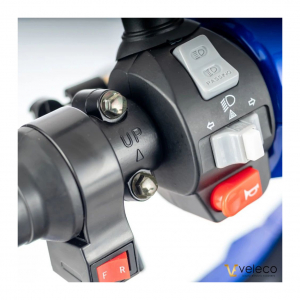 Veleco FASTER, Elektromobil mit Kapitnssitz