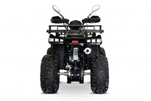 NITRO MOTORS 200cc maxi Kinder Quad Reptile RS10-CVT Platin