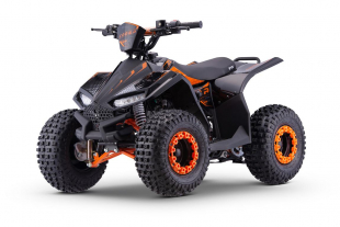NITRO MOTORS 125cc midi Kinder Quad Cooba RG-7 PRM 7