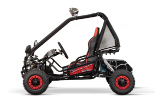 NITRO MOTORS Eco Gokart 650W 36V mini Kinder Buggy Hunt 6 Zoll