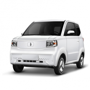 Elektroauto 