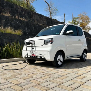 Elektroauto 