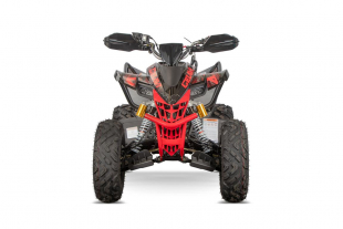 NITRO MOTORS 250cc maxi Quad Celavi RS10 4-Gang Manuell Platin Alu-Felge