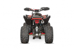 NITRO MOTORS 250cc maxi Quad Celavi RS10 4-Gang Manuell Platin Alu-Felge