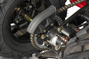 NITRO MOTORS 250cc maxi Quad Celavi RS10 4-Gang Manuell Platin Alu-Felge