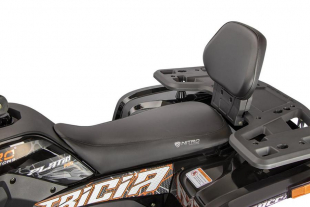 NITRO MOTORS 230cc maxi Quad Tricia CVT RS10 Platin inkl. Seilwinde