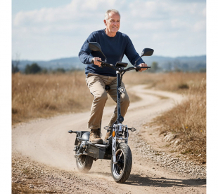 E-Scooter 1000W VR-1500-EEC mit Straenzulassung ABE
