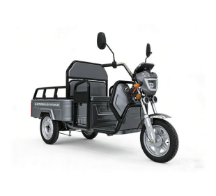 E-Mobil Cargo Plus 25/45 km/h, 72V/20 Ah Blei-Gel-Akku