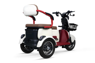 Elektromobil Geco CX2 R110 3-Rad Scooter 60V 1000W, 25 km/h
