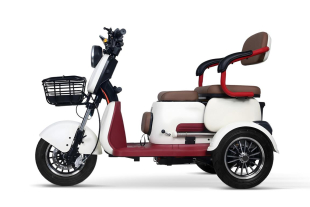 Elektromobil Geco CX2 R110 3-Rad Scooter 60V 1000W, 25 km/h