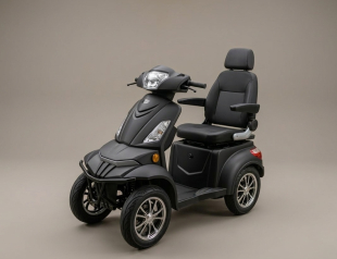 Elektromobil Trinidad 25 km/h, 1000 W mit LiFePO4 Batterien