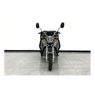 E-Mobil Cargo Plus Li 25/45 km/h, 72V/20 Ah Lithium-Akku