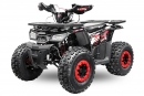 NITRO MOTORS 125cc midi Kinder Quad Rocco RS8-A Platin