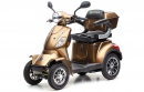 ECONELO JL4000, Vierradroller, 25 km/h, 1000 Watt Lithium Akku