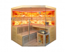 Sauna TS 4024 Bio-Kombiofen, Salzwand, 200x200cm