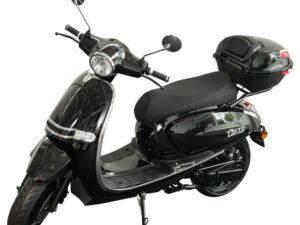 Dolphin with Rear Box-Glossy Black, Black Saddle